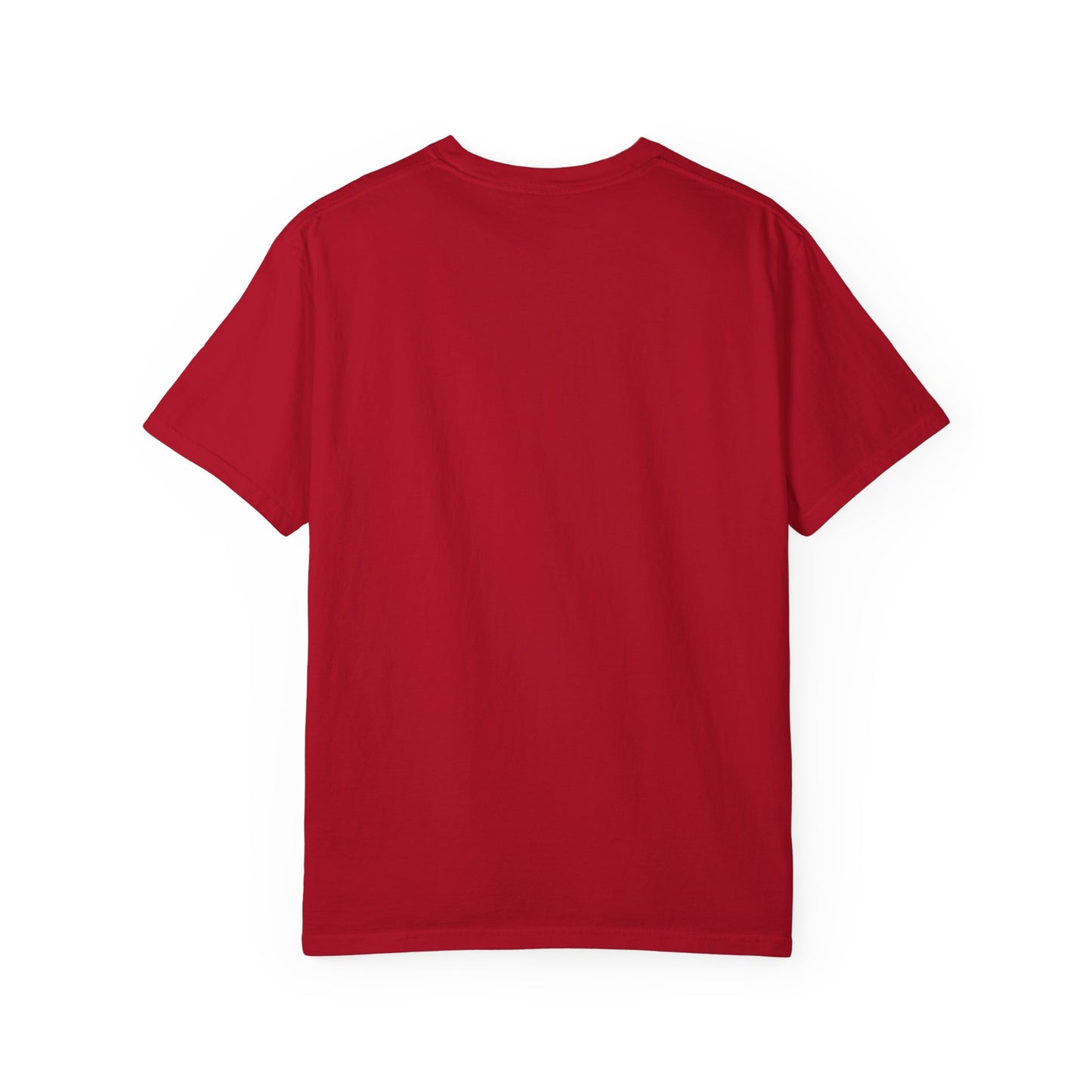 Born in the USA Patriotic T-Shirt — 4th of July American Flag Design